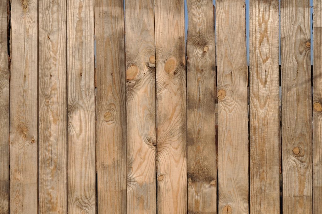 New timber paling fence